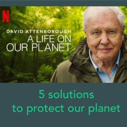 FILMAVOND - Met de indrukwekkende film van David Attenborough 'A Life on our Planet'
